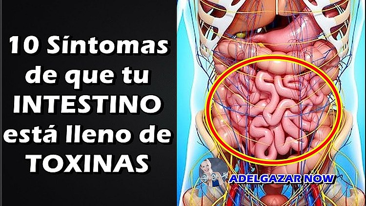 Que tomar para el colon irritable