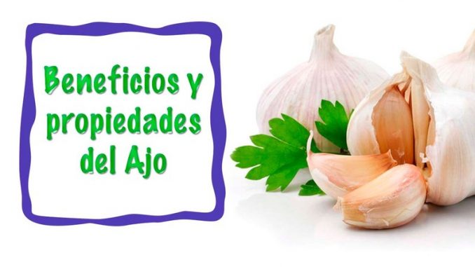 prop ajo