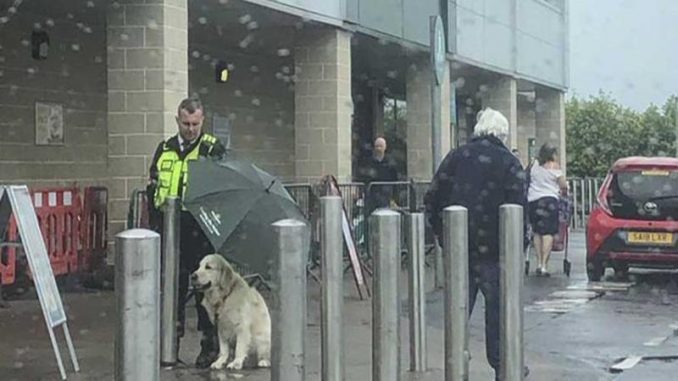 Guardia-de-seguridad-y-mascota-696x365