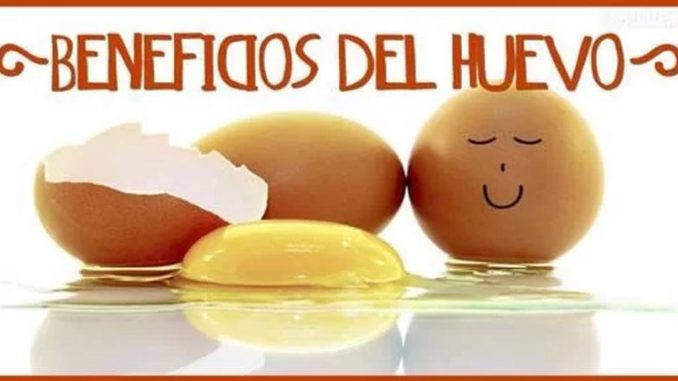 huevos