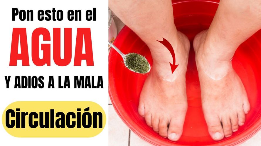 PIES CIRCULACION