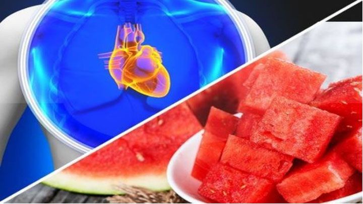 sandia