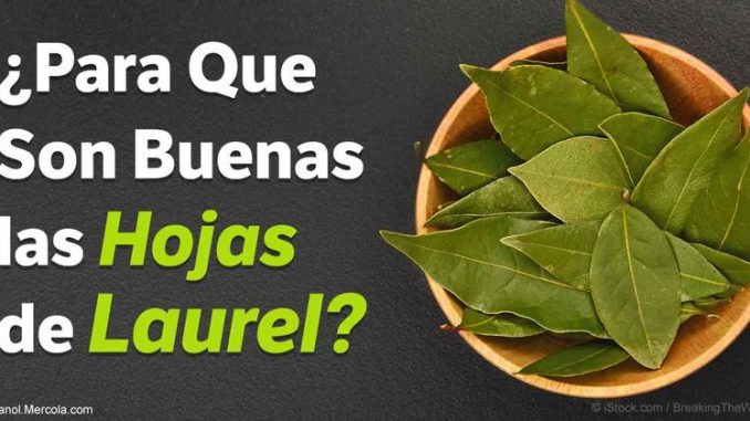 para-que-buenas-hojas-de-laurel-fb