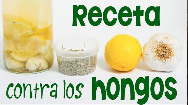 ajo ormero limon