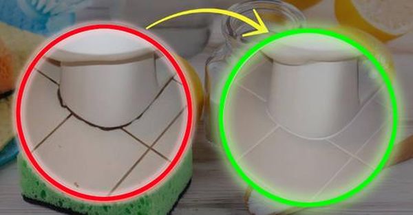 Círculo Negro Alrededor del Bidé, Solo lo Quitas si Haces Esto | ¡Nunca Había Tenido un Baño tan Limpio!