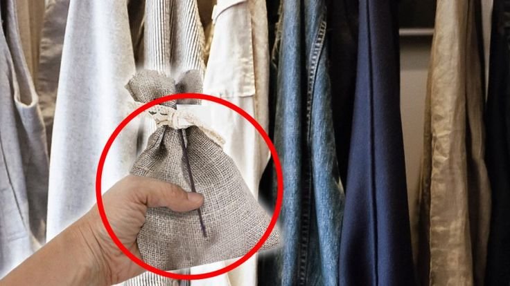 Descubre por qué Colocar una Bolsa de Sal en Tu Armario