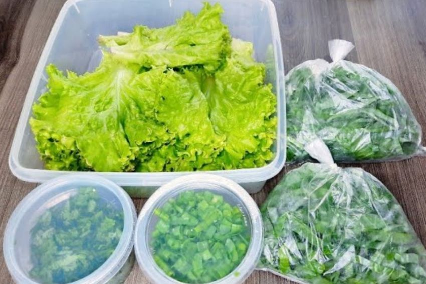¡Trucos Infalibles para Conservar Cilantro, Lechuga y Cebollino por Más Tiempo!